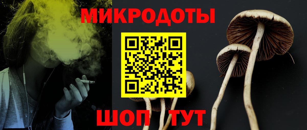 Балахна  купить   Галлюциногенные грибы Magic Shrooms  Вход с VPN  Псилоцибиновые грибы Psilocybe 